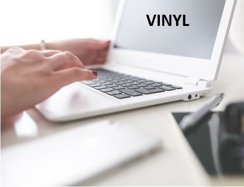 Software and Vinyl Class