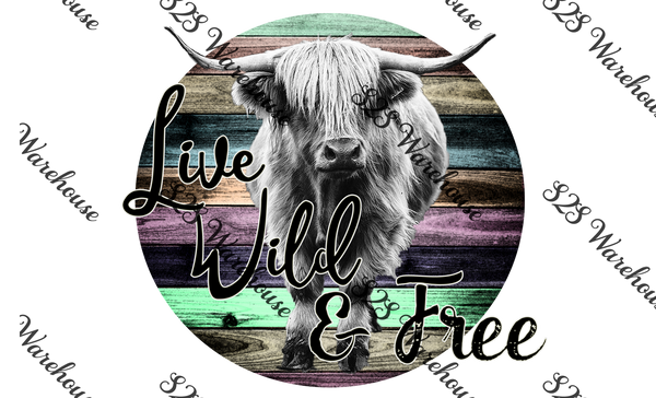 Live Wild And Free Highland Bull