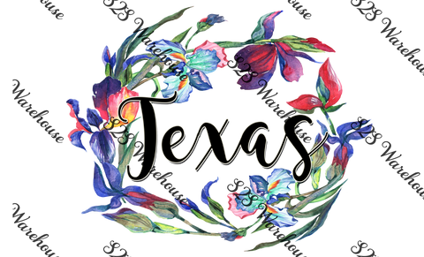 Texas Iris